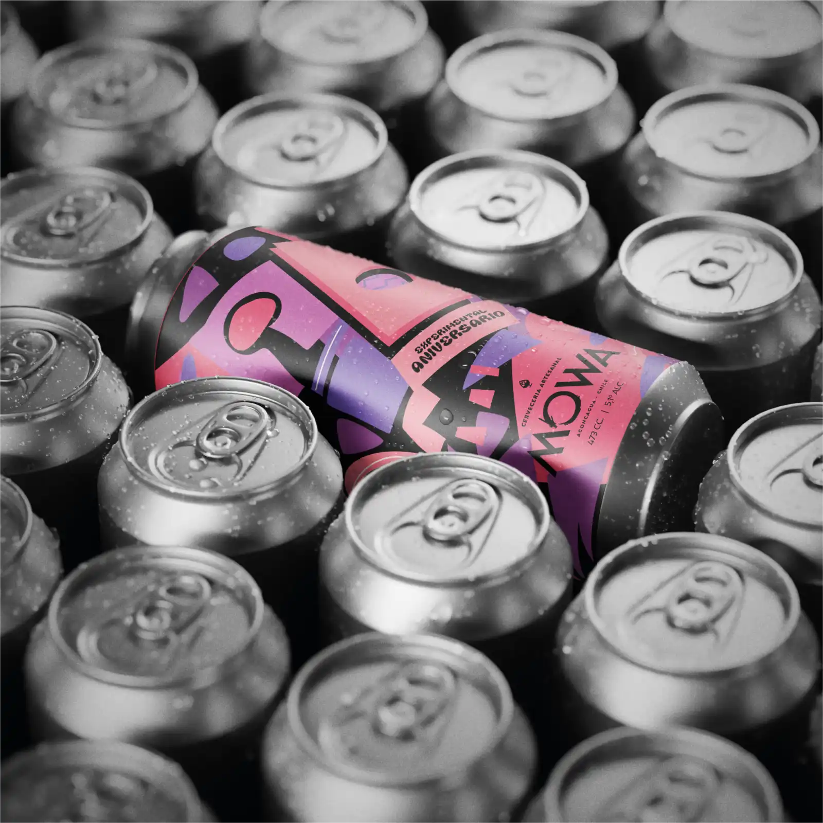 Cervecería Mowa